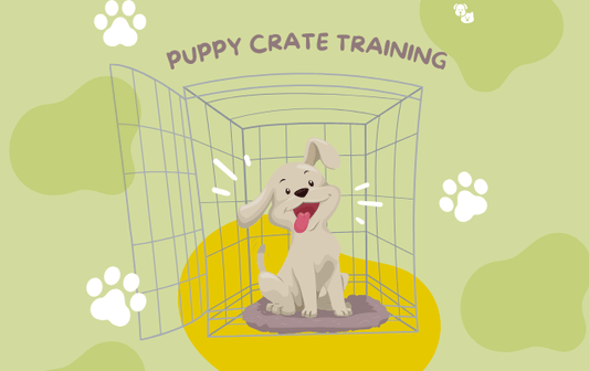 Puppy Crate Training