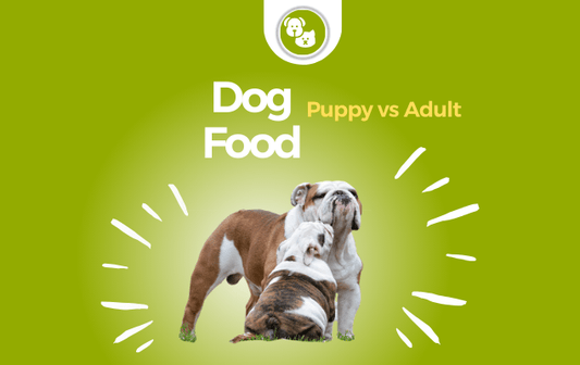 Puppy Food Vs. Adult Dog Food
