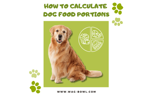 How To Calculate Dog Food Portions