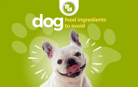 Dog Food Ingredients To Avoid