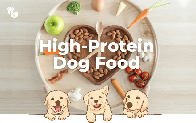 High-Protein Dog Food