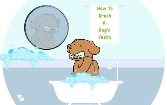 How To Brush A Dog's Teeth