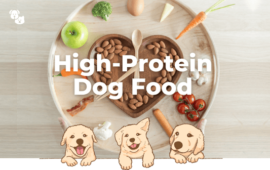 High-Protein Dog Food