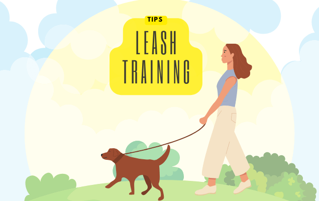 Tips For Leash Training