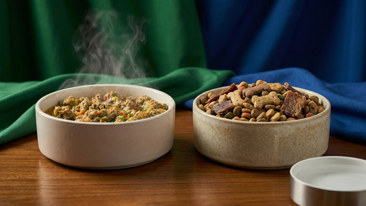 Wet vs. Dry Dog Food: Which One Wins?