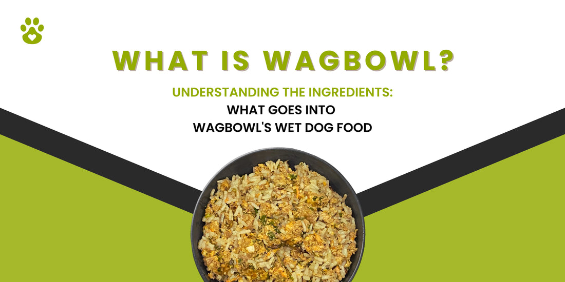 Understanding the Ingredients: What Goes into Wagbowl's Wet Dog Food