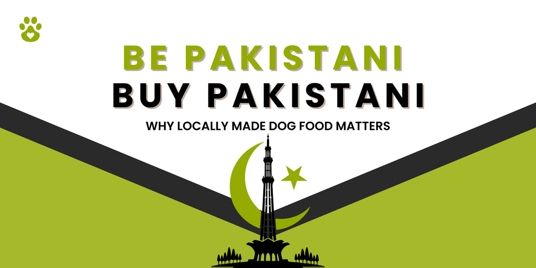 How Locally Made Dog Food Supports Your Pet & Community