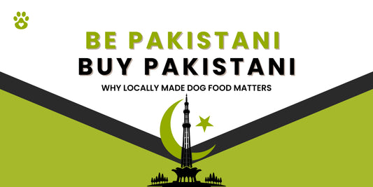 How Locally Made Dog Food Supports Your Pet & Community