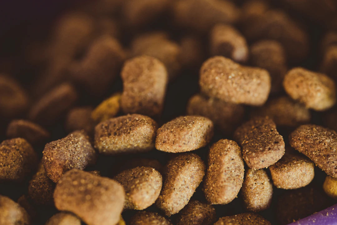 Understanding Ingredients in Natural Wet Dog Food