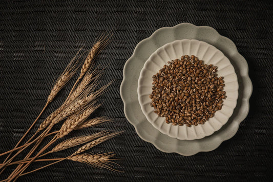 Grain-Free Wet Dog Food for Sensitive Stomachs