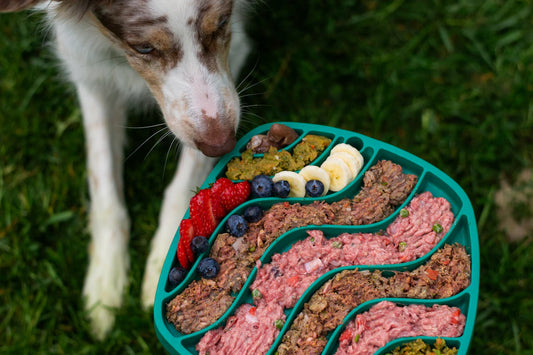 Natural Wet Dog Food for Balanced Nutrition