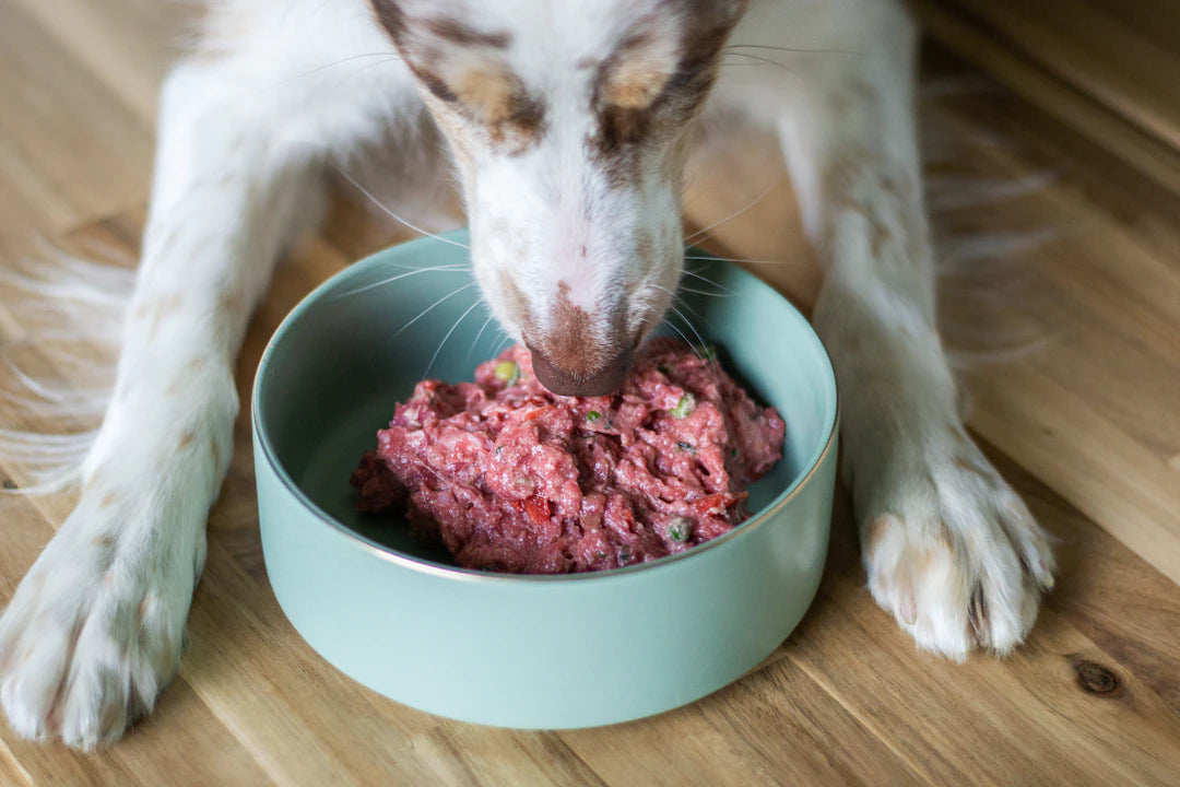 The Benefits of Feeding Your Dog 100 Natural Wet Food
