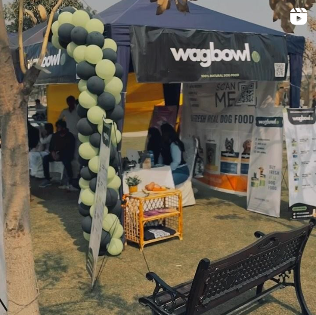 The Wagbowl stall at a dog show, with green and black balloons