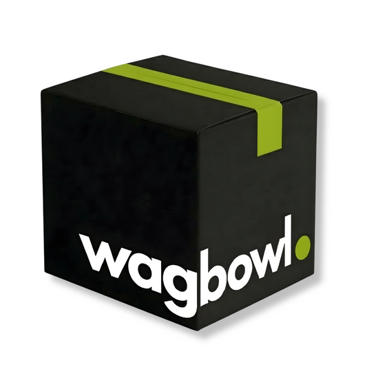 1 Month Subscription