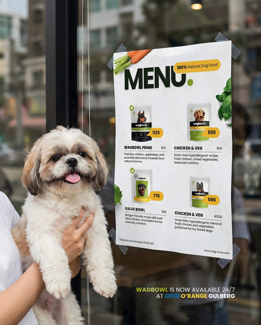 A Shih Tzu held up beside the Wagbowl menu in a shop window